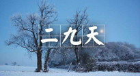 【三九養(yǎng)生】冬二九，扶陽補腎氣，讓你陽氣充足一整年！