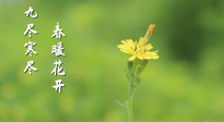 【九九養(yǎng)生】三月四日“九九日”，寒冬已過。春天養(yǎng)好身，全年不怕病！