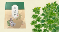 【行業(yè)資訊】國(guó)內(nèi)首部艾草專著《南陽(yáng)艾》，在南陽(yáng)新書首發(fā)！