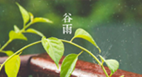 【二十四節(jié)氣灸】谷雨節(jié)氣脾土濕，艾灸降濕濁，脾旺不受邪！